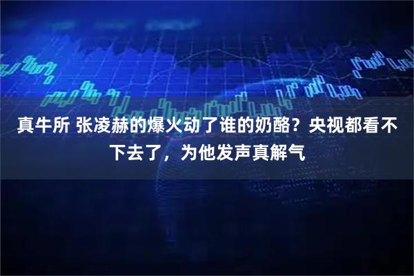 真牛所 张凌赫的爆火动了谁的奶酪？央视都看不下去了，为他发声真解气